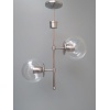 /Arañas/AR-VERT-BFJO-02-15-TRSC-PL
