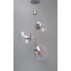 /Arañas/AR-VERT-BFJO-03-15-TRSC-PL
